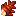 Cooked Trilocaris Tail