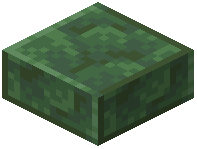 Polished Toxite Slab