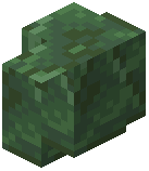 Toxite Brick Wall