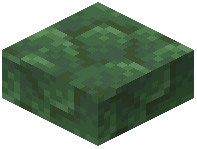 Toxite Slab