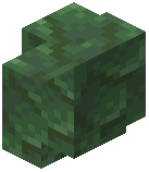 Toxite Wall