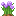 Wild Onion