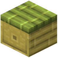 Bamboo Drawer