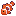 Clownfish