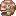 Comically Large Nautilus Shell