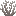 Dead Leaf Coral