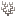 Dead Zigzag Coral