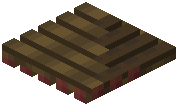 Mangrove Raft