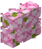 Cherry Bush