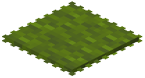 Green Rug