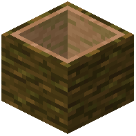 Jungle Hollow Log