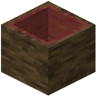Mangrove Hollow Log