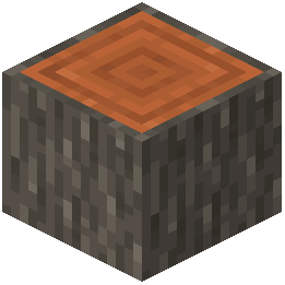 Acacia Log