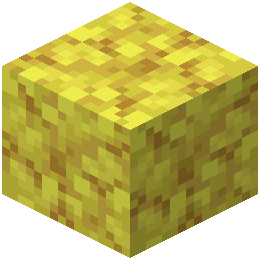 Horn Coral Block