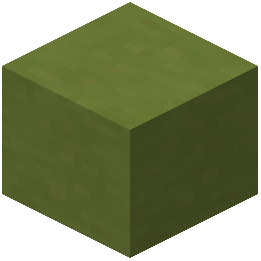 Lime Terracotta