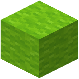 Lime Wool