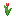 Red Tulip