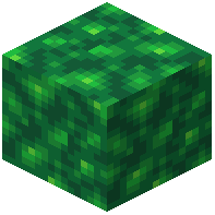 Jade Schist