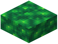 Jade Schist Slab