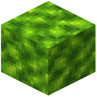 Peridot Schist