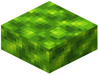 Peridot Schist Slab