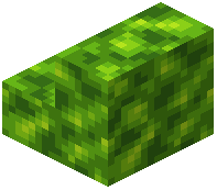 Peridot Schist Stairs
