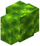 Peridot Schist Wall