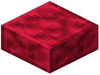 Polished Ruby Schist Slab